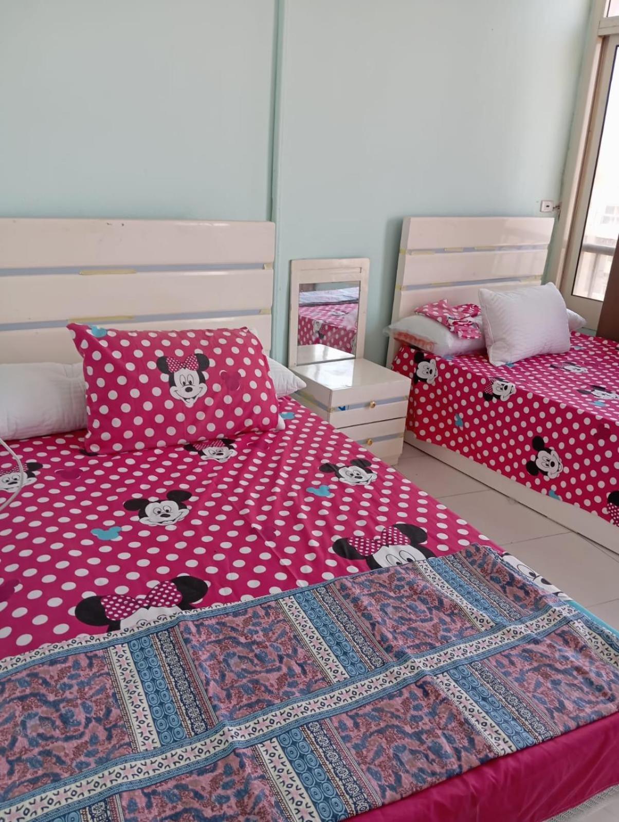 Entirely Furnished For Rent In Maadi Apartment